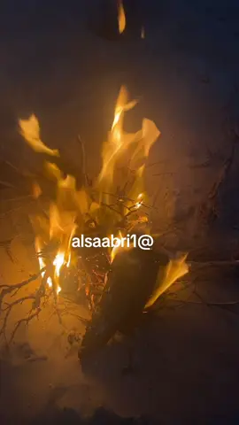 #explore #foryou #في هذا اليوم #الشعب_الصيني_ماله_حل 