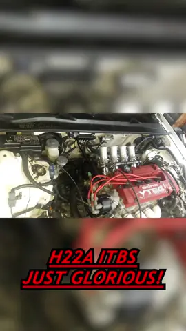 GLORIOUS H22 WITH ITBS! #honda #hondaprelude #hseries #h22 #h22a #vtec #jdm #itbs