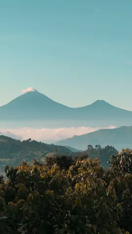 Uganda, Rwanda, Democratic Republic of Congo  The virunga mountains….Can you name them all?  Do you see the active volcanoes “breathing” at the end?  #travel#viral#tiktokuganda#tiktokrwanda🇷🇼#tiktokcongokinshasa🇨🇩🇨🇩🇨🇩 