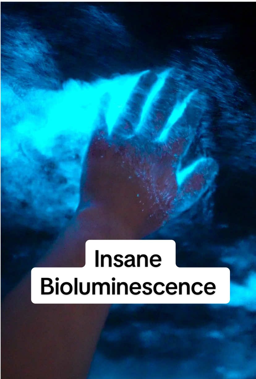 Touching bioluminescence!! Last night off the coast of CA, the ocean lit up brightly. This was by far the brightest bioluminescence that I have ever seen. I’m glad I got the chance to film myself interacting with this incredible phenomenon. #bioluminescence #marinadelrey #glowing #ocean #nature 