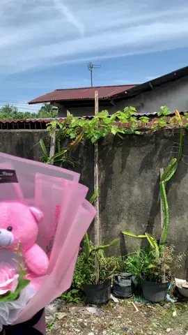 Bouqet boneka pink🩷 Cocok nih buat kasih orang spesial #buketbunga #buketwisuda #buketuang #buketviral #buketpekanbaru #buketpipecleaner #buketmurah #buketaesthetic #buketboneka 