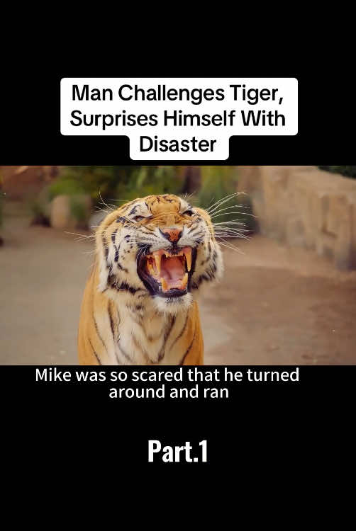 Man Challenges Tiger, Surprises Himself With Disaster#film #tiktok #foryou 