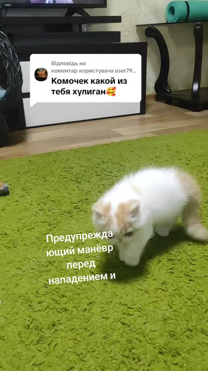 Відповідь користувачу @user7965473690193