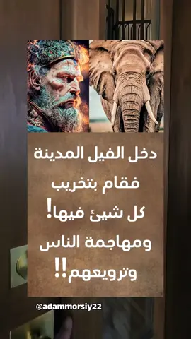 عظماء عبر التاريخ  دخل الفيل المدينة فقام بتخريب كل شيئ فيها ! ومهاجمة الناس وترويعهم !! والناس ينظرون إليه في صمت رهيب! خوفاً من الملك الظالم ! صاحب الفيل !! ويفعل هذا مراراً وتكراراً !! أمام أعينهم ؟ فلما فاض بهم الكيل! أجمعوا على أن يذهبوا جميعاً !! إلى الملك ويشكوا له ذلك الفيل! فتجمعوا وقاد المسيرة شاباً شجاعاً ذكياً .. وحملوا الشعاراتزالمعادية للفيل!! وأنطلقوا بإتجاه  قصر الملك!! وهم يهتفون لا للفيل.. لا للفيل وكلما إقتربوا من القصر ! كلما قل عدد الناس! وبدأ العدد يقل ! ثم يقل ! إلى أن أصبح هذا الشاب وحده أمام القصر ! فنظر إلى الخلف فلم يجد أحداً !! فأنطلق إليه حراس القصر أمسكوا به !! فحزن الشاب حزناً شديداً لخذلان أهل المدينة له ! فلما وقف أمام الملك! قال له الملك : ماذا كنتم تريدون؟ فقال الشاب : سيدي الملك نحن نري أن مزاج الفيل قد تغير ! ونخاف عليه من الإكتئاب! لذا أقترح عليكم أن تزوجوا الفيل لكي تتحسن حالته ! فرحب الملك بالفكرة فأفرج عن الشاب وقام بتزويج الفيل!! وبدل المصيبة الواحدة ! أصبحت مصيبتين ! فكلما خذلنا بعضنا البعض كلما إزدادت مصائبنا !! خواطر و اقتباسات قصص  تاريخ التاريخ  #تاریخ #اقوال_من_عبق_التاريخ #حالات_واتس #خواطر #اقوال #اقتباسات #خواطر_للعقول_الراقية #اقتباسات_عبارات_خواطر #اكسبلورexplore #قصص_من_التاريخ👑 @آدم 