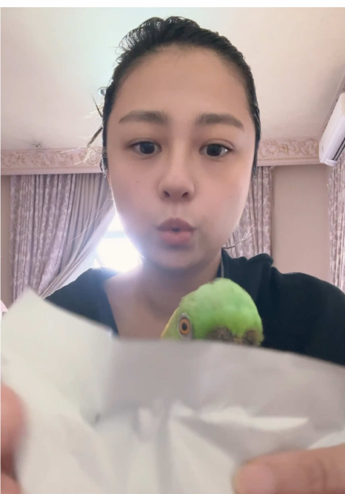 Unboxing instinct toys with Sasha.. popmart series.. • • • • • #fyp #foryou #fypシ゚ #unboxing #sasha #cute #pet #parrot #trending #mood 