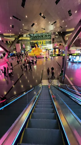 Final call for Qatar airways #trending #foryoupage #WheneverWherever #fy 