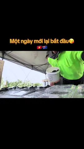 Luôn nhìn về phía trước để chào đón một tương lai tương sáng hơn♥️🍀. NO PAIN NO GAIN💪💪#visaworkingholiday #visa462 #coffsharbour 
