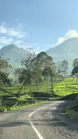 Pemandangan seindah ini free HTM‼️ - Ini adalah jalan menuju kebun teh bedakah, kalan kalian kesini ?  - #travelingindonesia #jelajahindonesia 