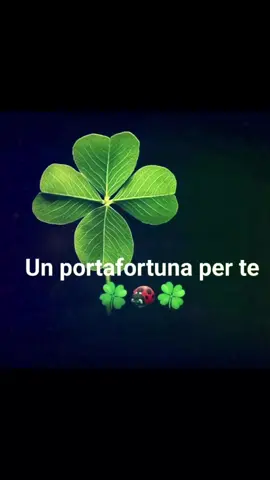 Metti LIKE E SEGUIMI ❤️  #perte #foryou #foryourpage #tarocchi #tarocchiinterattivi #tarot #tarotreading #sibille #sibilleperte #karma #interagisci🍀✨ 