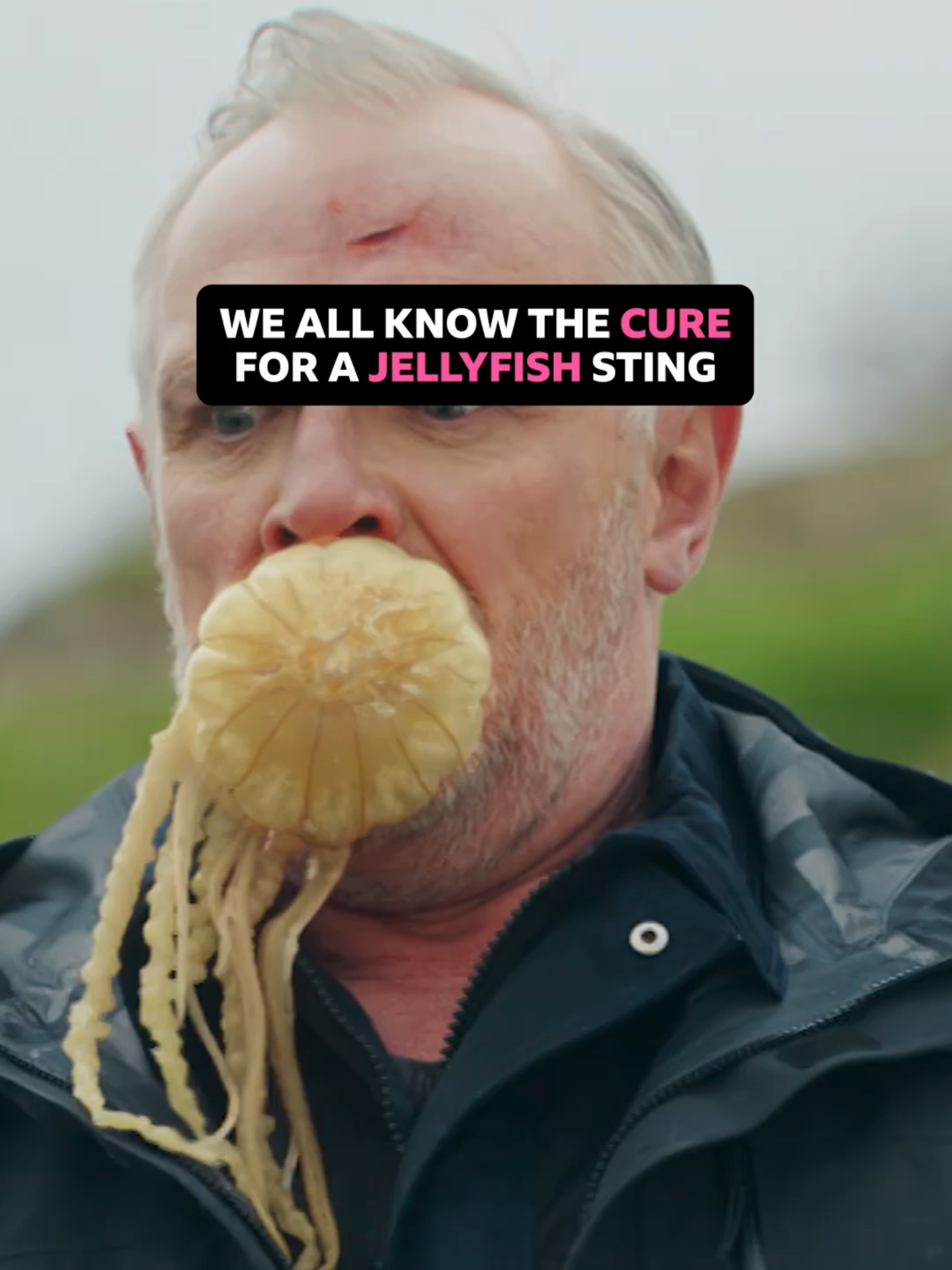 Nooooo 😬🥃 Wicky, the crime scene cleaner, gets stung on the mouth by a jellyfish. And we all know the cure for a jellyfish sting, right? #GregDavies #ConlethHill #Jellyfish #FunnyMoments #TheCleaner