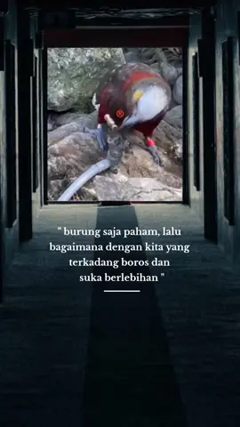 #assalamualaikum  #fouryou 