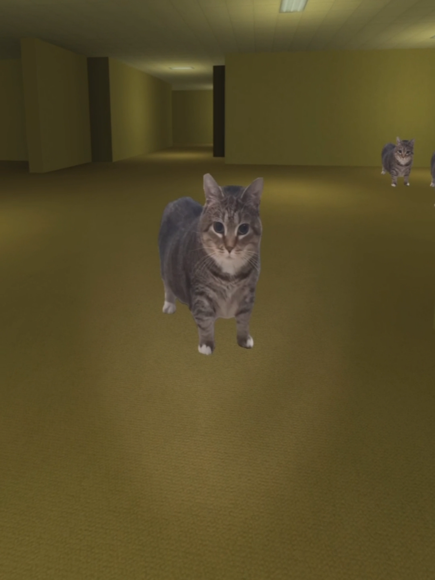 OIIAOIIA Cat Room 🐈️🐈️🐈️🌀 #backrooms #garrysmod #gmod #nextbot #catmeme #catsoftiktok #猫ミーム #oiiaiiooiiai #fyp