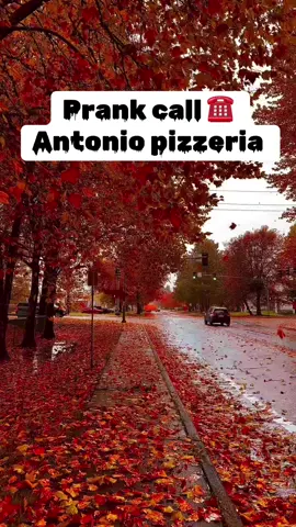 Prank call 😂😂 #pizza #prankcall #flower #flowers #flowerkiss #antonio #pizzalover #fyp 