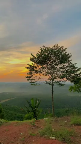 Một chiếc view ngắm Hoàng Hôn cực Chill #hoanghon #chill #baoloc #49 #lamdong #reviewbaoloc #baoloctravel #dulichbaoloc #yeubaoloc 