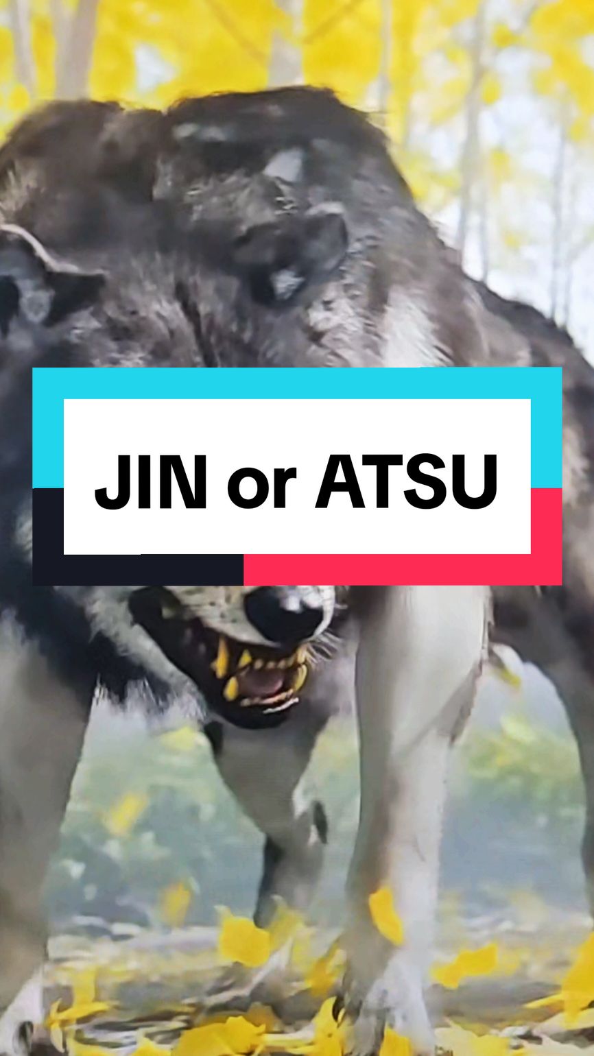 team Jin or team Atsu? #ghostoftsushima #ghostofyotei #Jin #Atsu #samurai #game #videogame #games #videogames #gameplay #newgame #gaming #consolegaming #GamingOnTikTok #gamer #gamers #all_eyez_on #fyp 