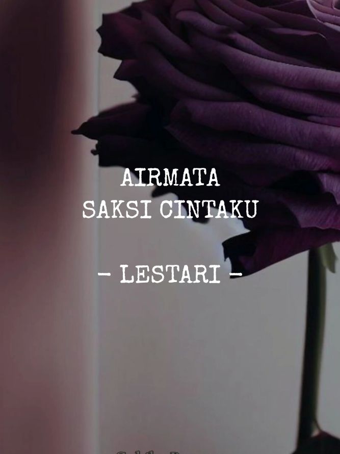 AIRMATA SAKSI CINTAKU - LESTARI #LirikPendek #LirikLagu #LaguJiwang #Jiwang #Lagu #Lestari 