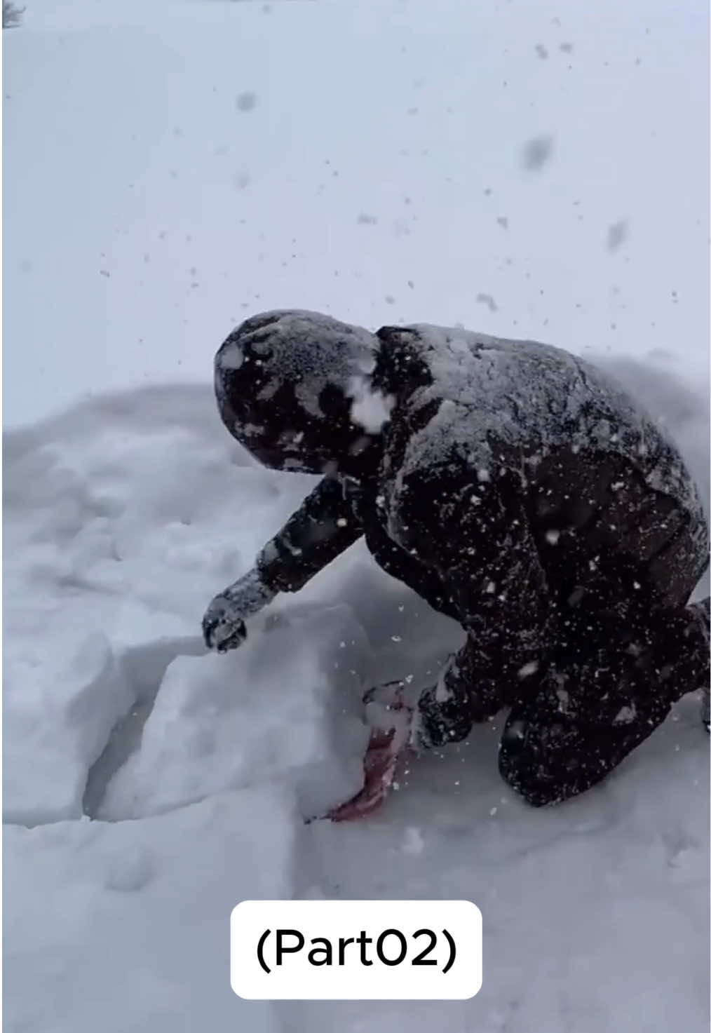 Em meio a uma tempestade de vento no deserto gelado, uma família desfruta do calor e aconchego dentro da tenda. Unidos, enfrentam o clima extremo enquanto vivem momentos inesquecíveis em meio ao gelo. ❄️💨 Original Video: https://www.youtube.com/watch?v=GB7vG-ogJbc&t=944s #foryou #fyp #viral #familiatiktok #acampamento #aventura #campinglife #natureza #explorar #desertodegelo #tiktokbrasil