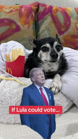 Make America Great Again! #Meme #MemeCut #trump2024🇺🇸 #trump #magalymedina @President Donald J Trump 