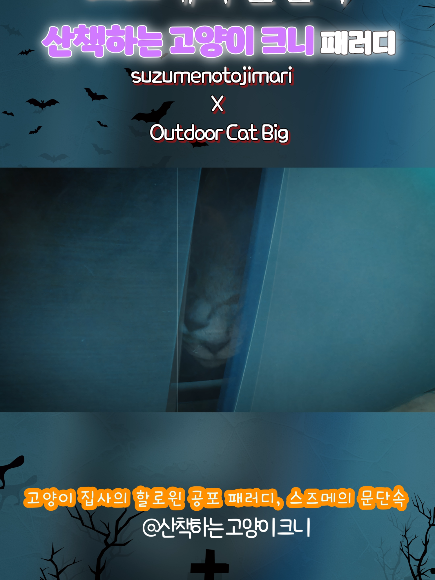 양양이의 문단속🚪 | 할로윈 패러디 영상 #할로윈 #shorts #shortsvideo #funnycat #halloween2024