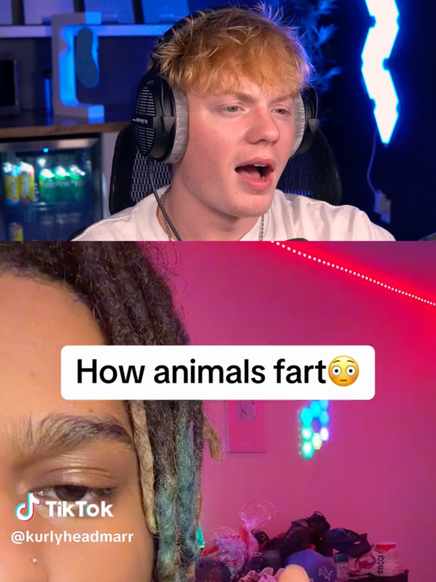 How Animals Fart! 🤯#munson #munsonreacts #fypシ