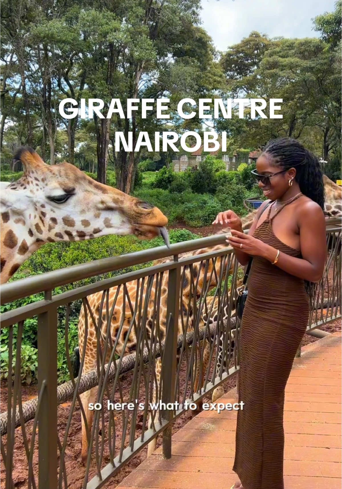 what you need to know before visiting the giraffe center in Nairobi 🦒 #giraffecentre #giraffemanor #nairobikenya #nairobitourism #nairobiitinerary 