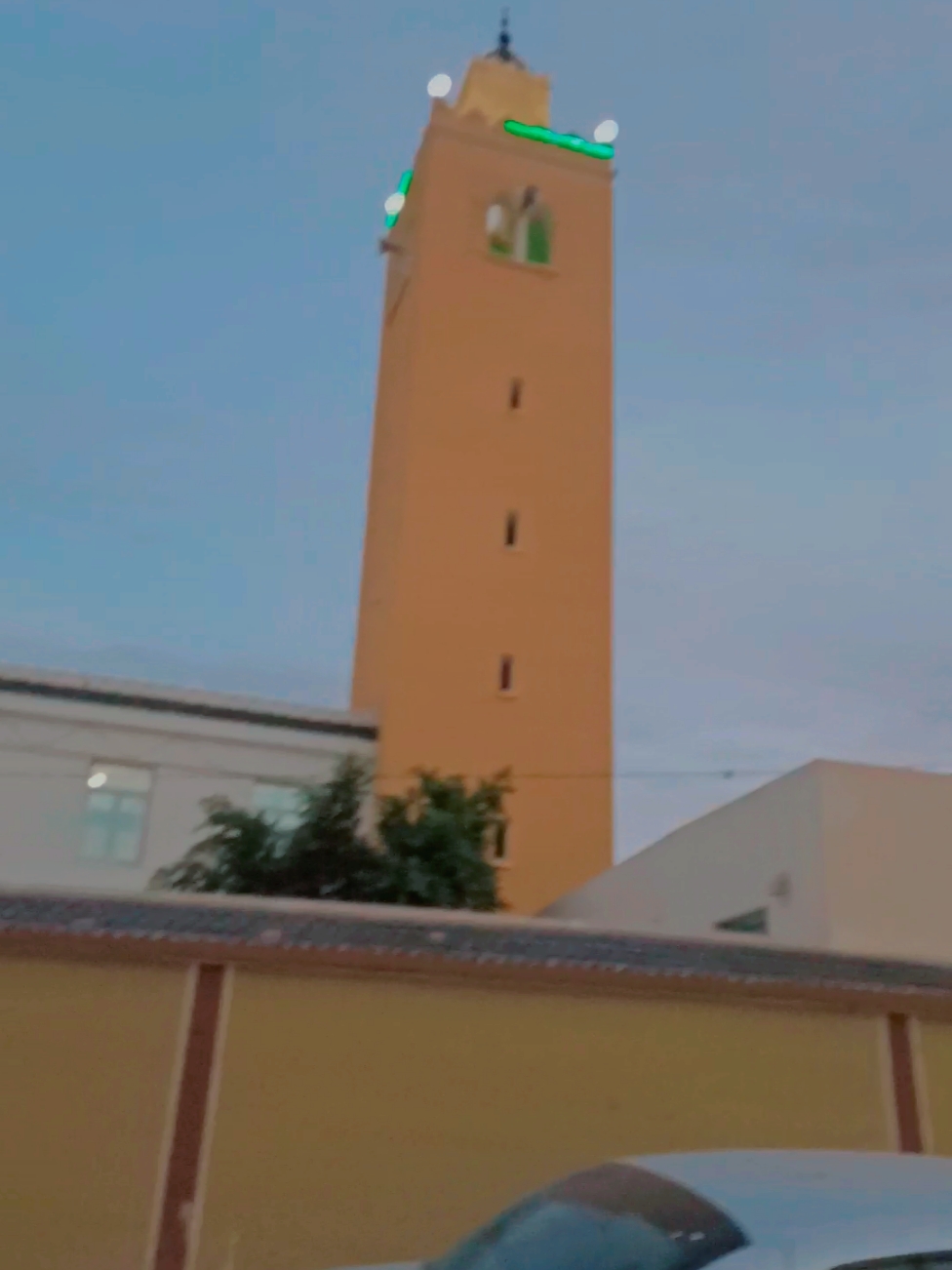 #سبيطلة_البيّة💚💛😍 #القصرين_الأرض_الحرشة🥰🥰 