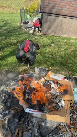 Jeffrey is a real bastard…. 