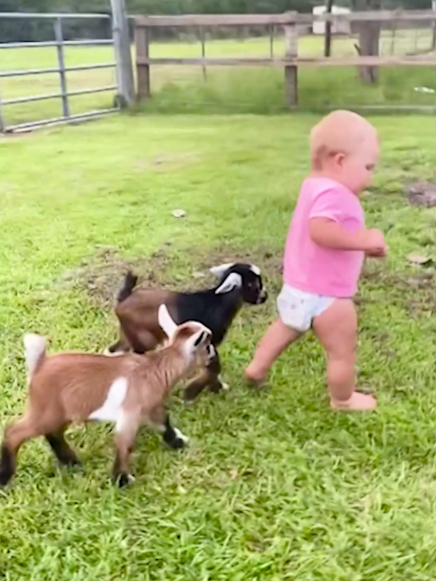 Oh no, Run...🤣 #baby#fail#fyp#toddler#animal#adorablebabies#newborn#kids#babiesoftiktok#babies#pet#dog#babyanimals#funnyvideos😂#funny#zoo#pet #babyscare#trendingvideo#longervideo #cutebaby#babyreaction#farm#viral_video