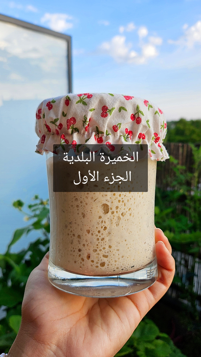 الخميرة البلدية الجزء الأول يفضل استعمال طحين قمح كامل بلدي، لأن طحين القمح الكامل لي كيتباع فالمحلات التجارية ( la farine complete) هو عبارة عن طحين أبيض كيزيدو عليه نخالة، أما( la farine intégrale) هو قمح مطحون و محافظ على جميع مكونات الحبة (النخالة، السويداء و الجنين)  لذلك يفضل نستعملو طحين قمح مطحون على اليد أو طحين من مصدر موثوق. #صحي #وصفات_سرين #المغرب #وصفات_صحية #وصفات #خبز #خميرة_بلدية #خميرة_طبيعية #ساوردو #خبز_الدار #خبز_صحي 