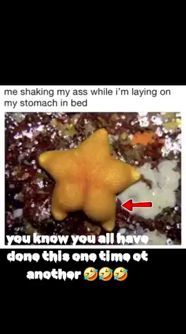 we have all done this one time or another. whether U care to admit it or not 🤣🤣🤣🤣#funnyvideos #memestiktok #fyp #fyy #viral_video 