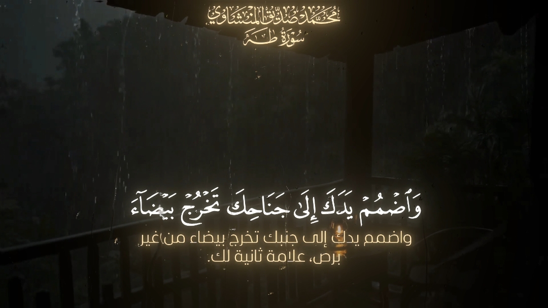 تدبروا وأدعوا لأخواتنا ❤️‍🩹 #تدبروا_الايات🤍 #سبحان_الله_وبحمده_سبحان_الله_العظيم #محمد_صديق_المنشاوي #سورة_طه #قران #معانا_ولا_مش_معانا 