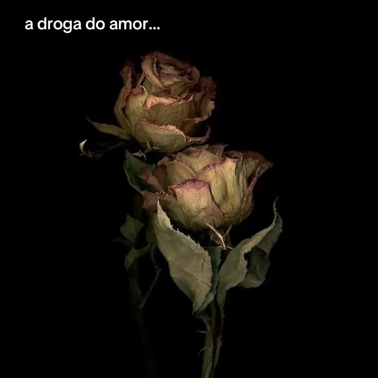 #foryoupage #tiktok #dor #frase #amor #pravoce #pensamentos #fypシ゚ #fyp 