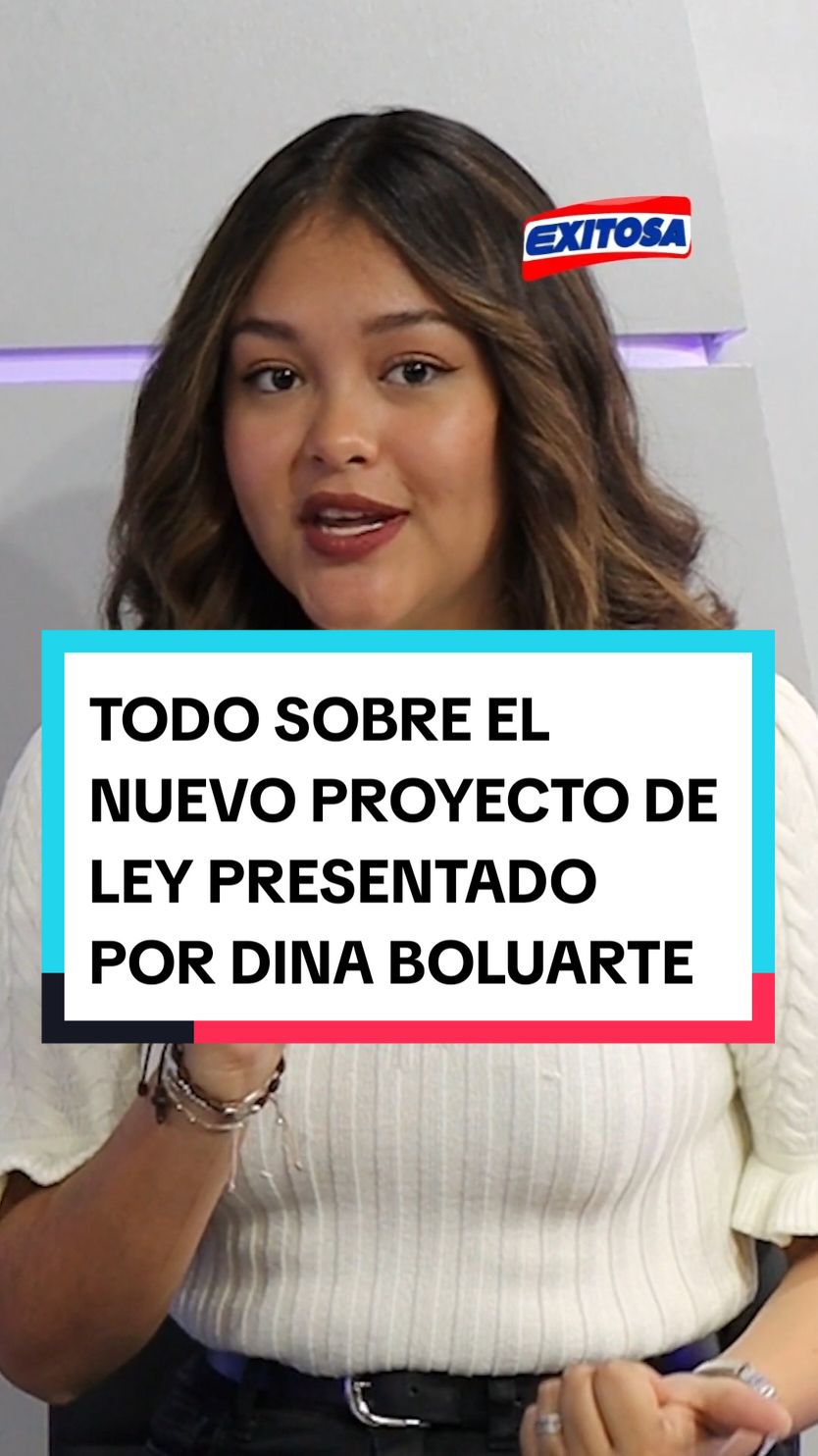 Todo sobre el nuevo Proyecto de Ley presentado por Dina Boluarte  #CapCut #dinaboluarte #proyectodeley #peru #noticia #exitosa #exitosanoticias #mando #presidenta #indignante #justicia #tiktoknews #informacion 