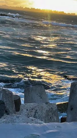 اسكندرية بالنسبالي ايه ؟ كل حاجه تقريبًا #CapCut #onthisday #alexandria #viral #viralvideo #foryou #foryoupage #tiktok #fy #fyp 