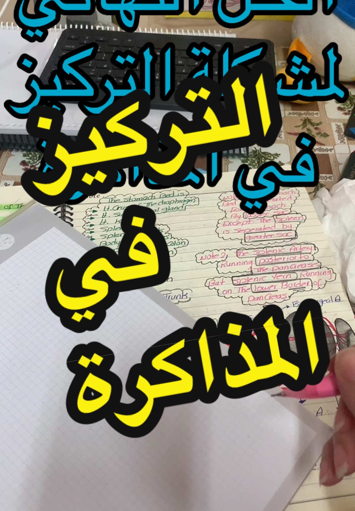 #studywithnadeen #ذاكر_مع_نادين #foryou #studytok #studywithme #forupage #ازاي_اذاكر 