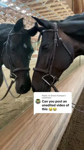 Replying to @Grace Kampa the first and only time she’s thrown me off in 3 years 🤦🏻‍♀️ She was in a nasty spring heat 🤣 