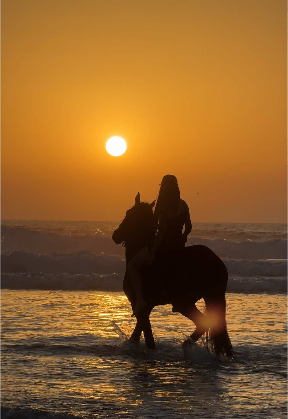 Like a dream ✨ #lovehorses #horsegirl #sunsetmorocco #maroc #foryoupage 