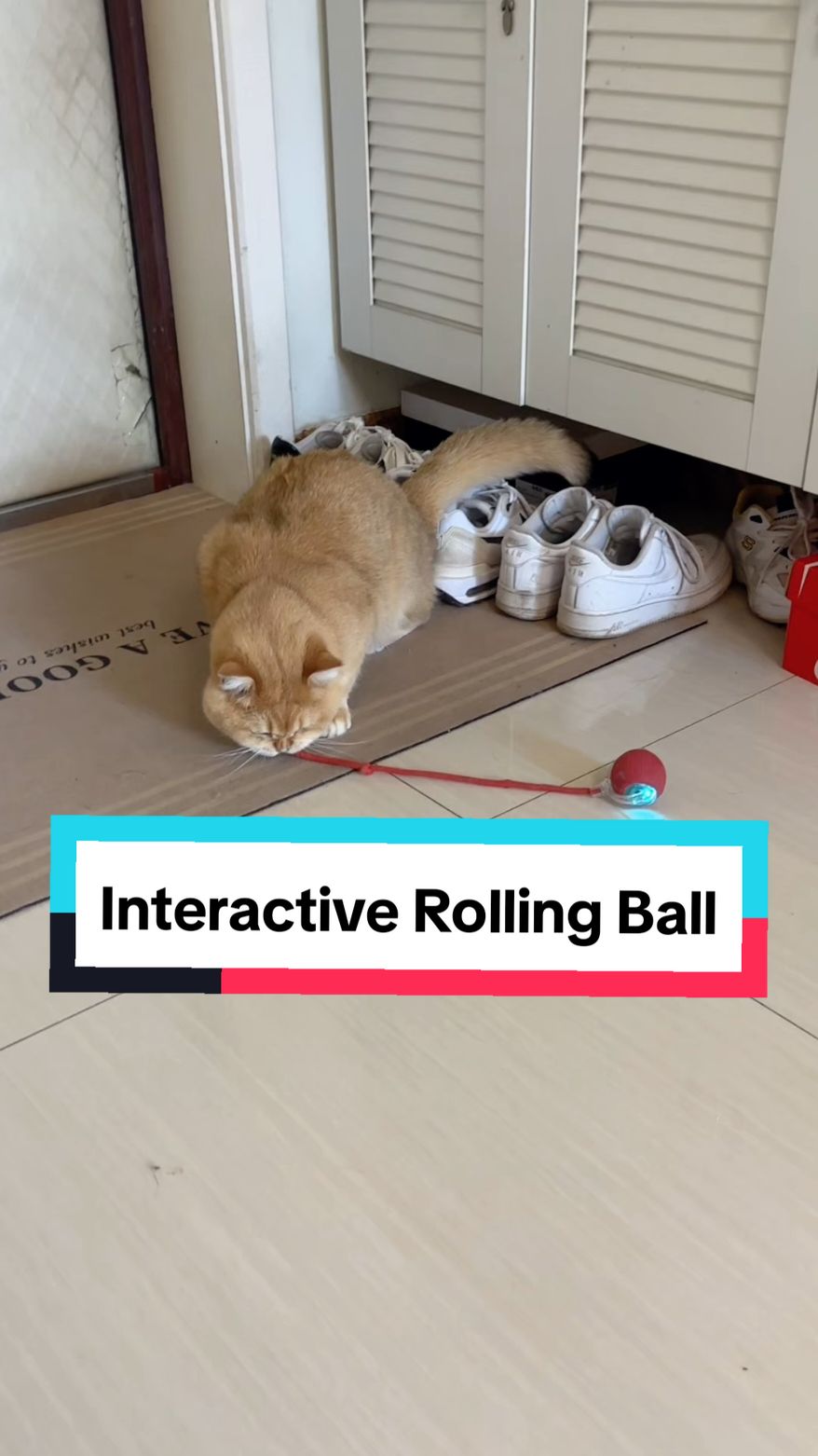 Interactive Rolling Ball 🧶  #rollingball #cattoys #catproducts 