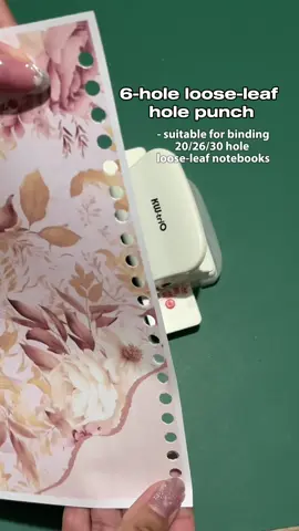 6 hole paper puncher✨ ➡️ @Resha Mangaya ⬅️ #maamresh #reshop #schoolsupplies #paperpuncher #holepuncher #reco #diyclassrecord #teacher 