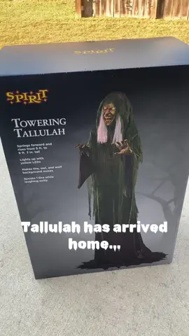 #halloween #fyp #tallulah #halloweendecorations #scary #somebodyiswatchingme #thesimplemanau #sober #fireballkingau @Spirit Halloween #spirithalloween 