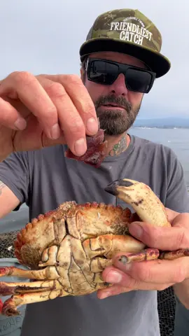 Friday Chronicles De Barnacle #crab #asmr #seafood #crabs #deepseacreatures #friendliestcatch #rockhold #barnaclechronicles 