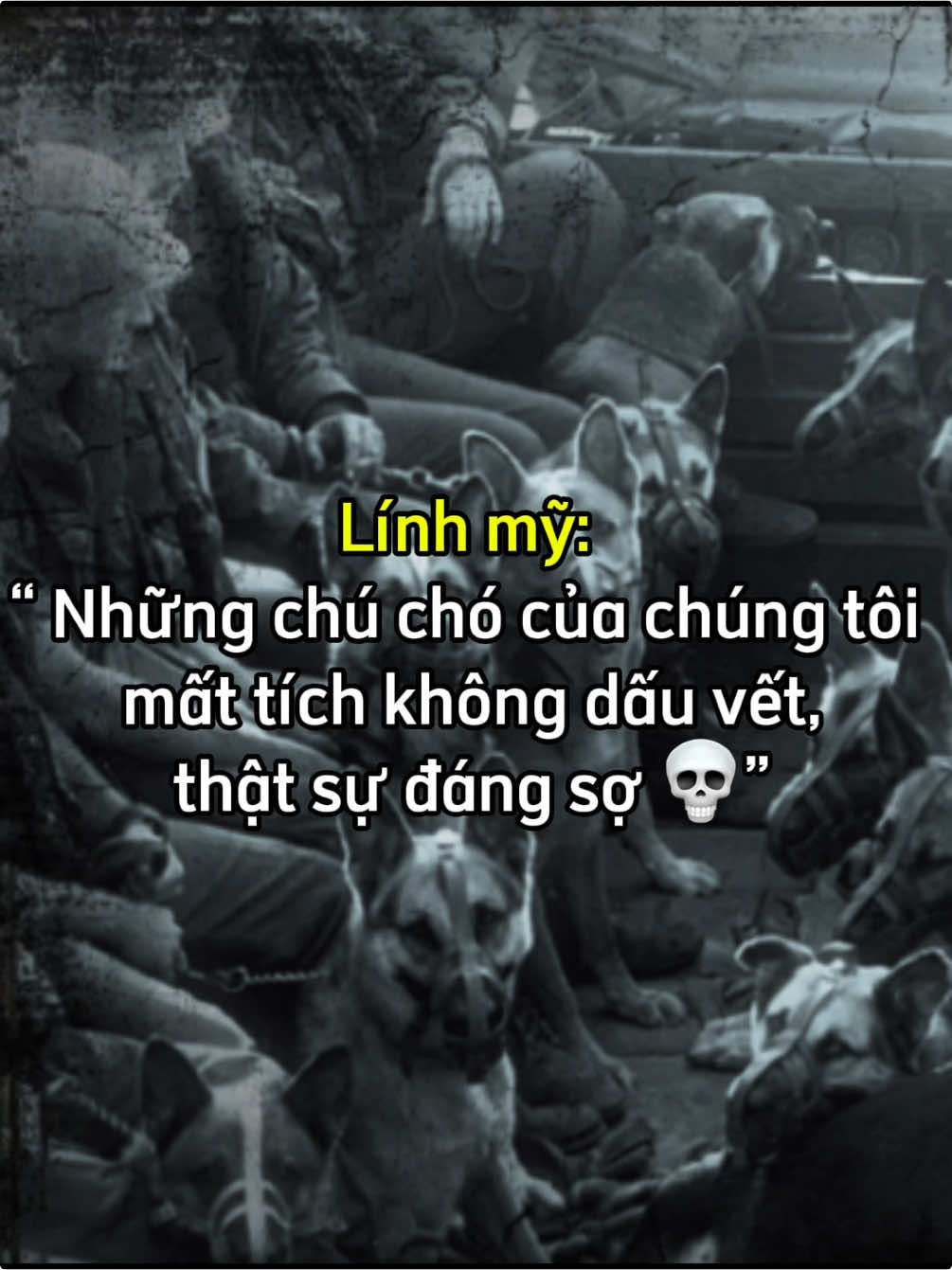 Bí ẩn chưa có lời giải 🤔 #dauanlichsu #viral #xuhuong #lichsuvietnam 