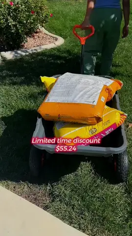Save your coin