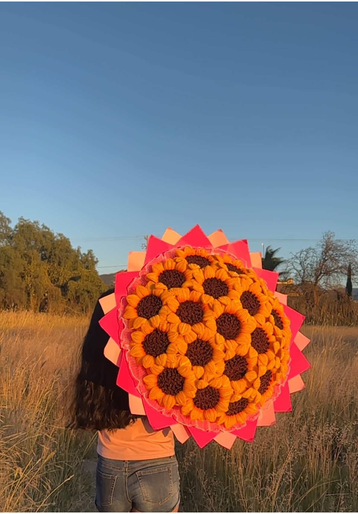 Un ramote 🤩 #girasoles #🌻 #floresamarillas #floreseternas #floresdelimpiapipas #fyp #pyf 