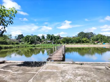 #ဆောင်ကြဲရွာတနေရာ🇱🇹 #မြင်ပါများပြီးချစ်ကျွမ်းဝင်အောင်လို့ #veiws #fpyシ #tiktokviral 