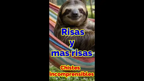 Risas y mas risas chistes incomprensibles