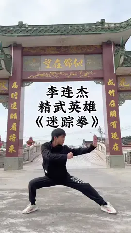 中华武术博大精深 回归经典！#duguqiubai #独孤求败 #中华武术 #中国功夫 #功夫 #武术 #chinesekungfu #vothuattrunghoa #kungfu #vothuat 