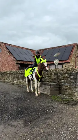 Rosie and I are ready for our winter hacking thanks to @Naylors 🐴  Staying safe and seen in their Hi-Vis range 👀 Now is the time to check out Naylors Collection with 15% off Hi-Vis products until the 18th of November, get ready for those dreaded darker evenings! 😭  #foryou #horse #ad 