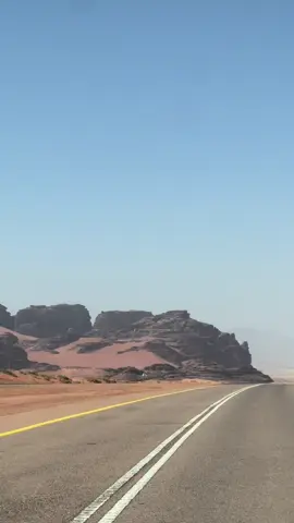 #مجرد________ذووووووق🎶 #📸🏹💘 #🕊️🤍🕊️🤍🕊️ 