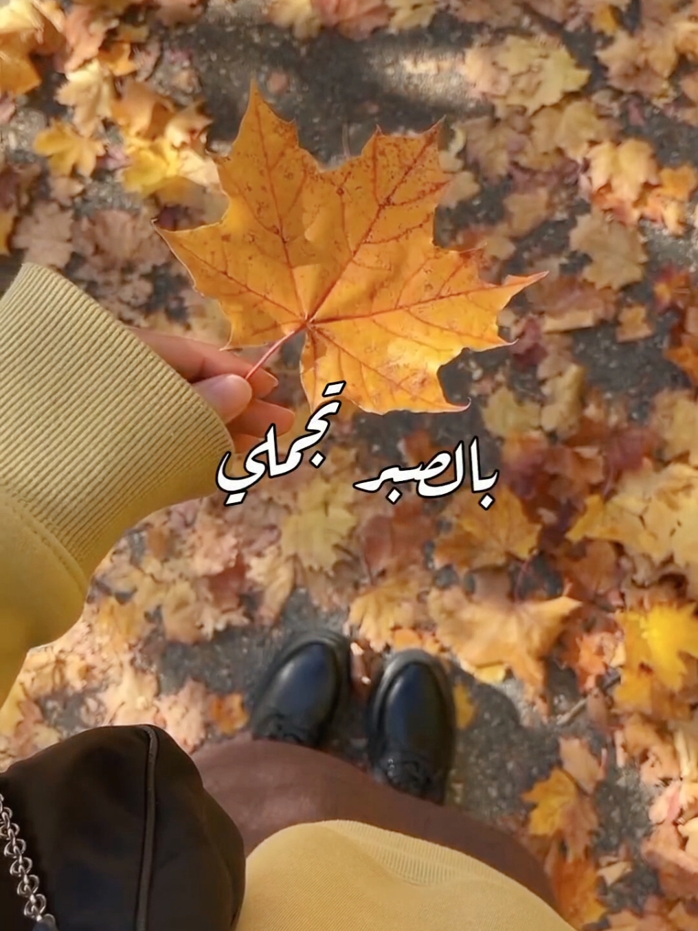 إيميلي 🍁 . . .   #foryou #fyp #viral #viralvideos #music #سبيستون #كرتون_زمان #اغاني #الشعب_الصيني_ماله_حل #بدون_موسيقى 